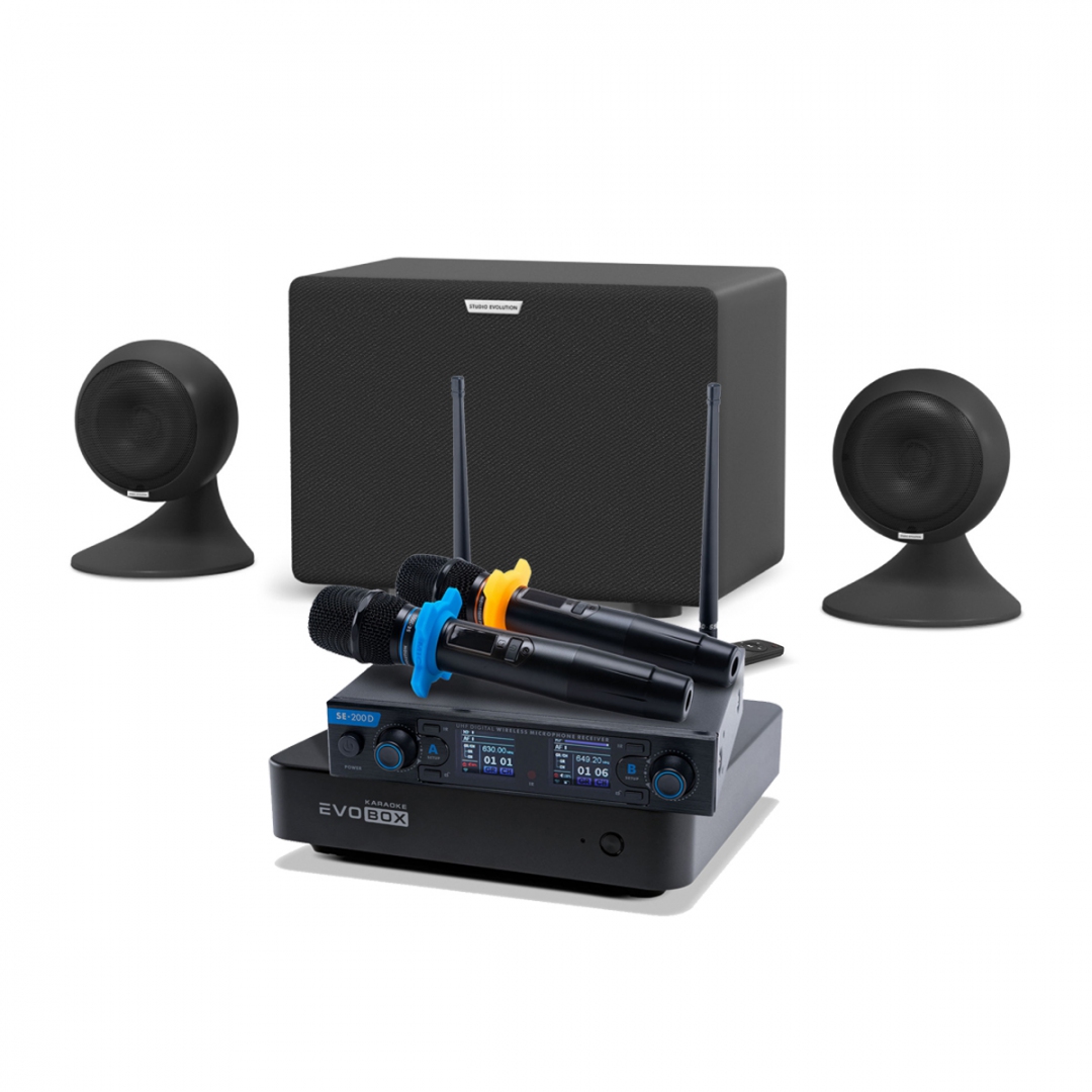 караоке-комплект EVOBOX + EvoSound Sphere 2.1 в Чусовом