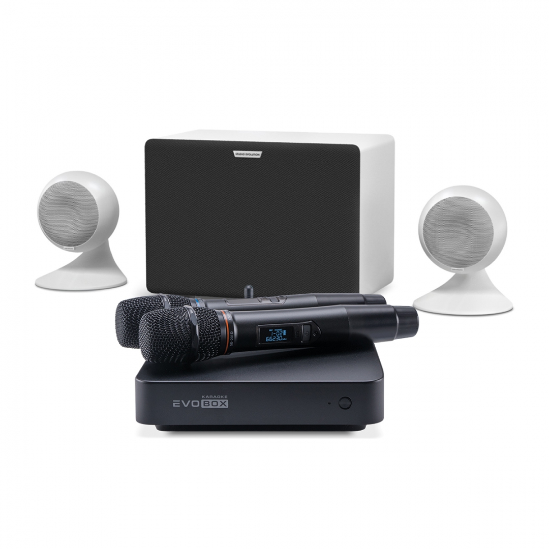 караоке-комплект EVOBOX Classic + EvoSound Sphere 2.1 в Чусовом