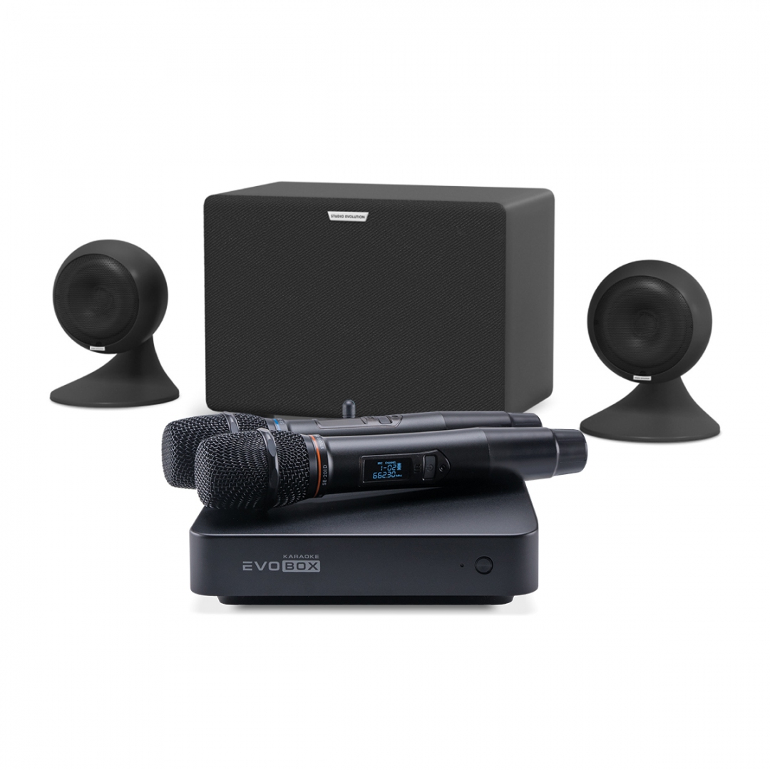караоке-комплект EVOBOX Plus + EvoSound Sphere 2.1 в Чусовом