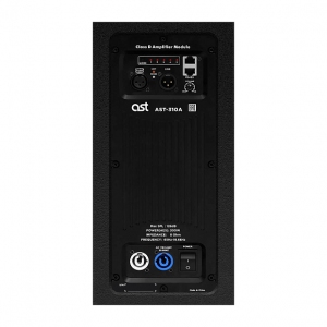 Активная акустическая система AST-310A в Чусовом