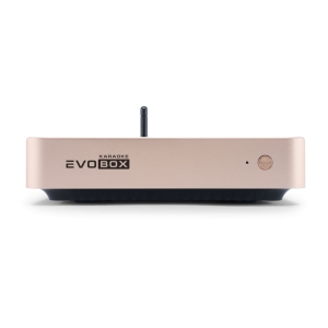 EVOBOX Classic караоке-система для дома в Чусовом