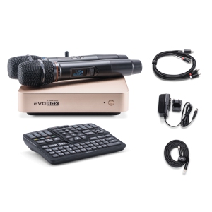 EVOBOX Classic караоке-система для дома в Чусовом