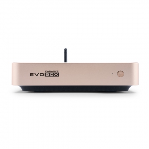 EVOBOX Plus караоке-система для дома в Чусовом