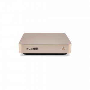 EVOBOX с микрофонами в Чусовом